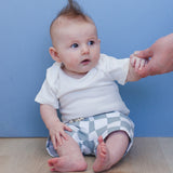 Checkered Shorts - Baby Bear Outfitters
